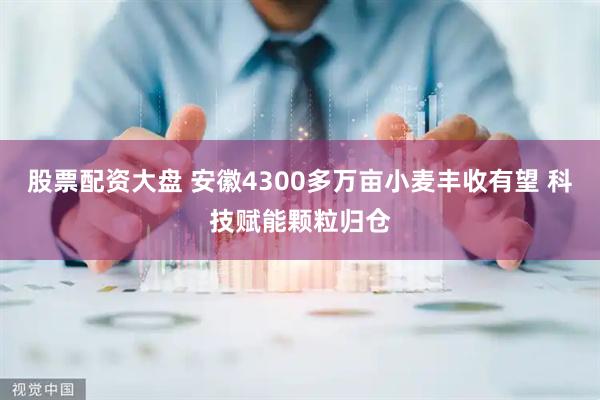 股票配资大盘 安徽4300多万亩小麦丰收有望 科技赋能颗粒归仓