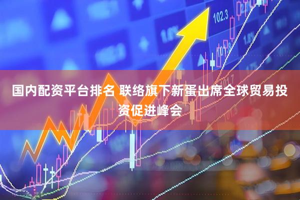 国内配资平台排名 联络旗下新蛋出席全球贸易投资促进峰会